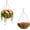 10-inch hanging bask, variant on Hanging Planters for Outdoor Plants,2 Pack 10 inch Hanging Planters Basket with Coco Liners, Hanging Baskets Flower Pots for Patio,Garden, Deck, Porch Plants