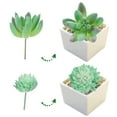 thumbnail image 6 of Raindrops  5 Pcs Mini Green Plant Decorations Realistic Miniature Plants Succulent, 6 of 7