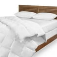 asthma & allergy Friendly 240TC Down Comforter in Multiple Sizes