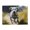 1000 Pieces, variant on 500-Piece Wooden Jigsaw Puzzle for Adults - Dalmatian Running Meadow , Fun & Relaxing Family Game, No-Dust Interlocking Pieces, Perfect Wall Decor & Holiday Gift
