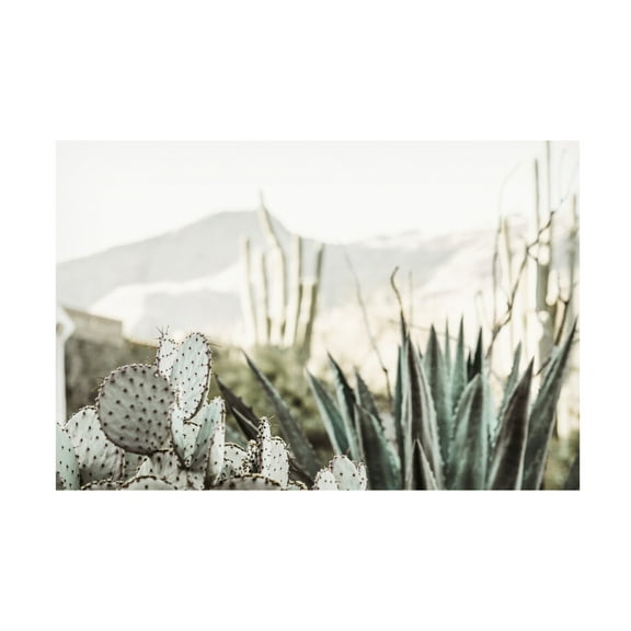 Canvas Wall Art - Krista Broadway 'Leon' Wall Art for Living Room, Bedroom, or Office Décor by Trademark Fine Art - 19 x 12 Inches