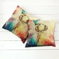thumbnail image 6 of Ambesonne Colorful Throw Pillow Cover 2 Pack, Vintage Grunge Parrot, 18", Multicolor, 6 of 7