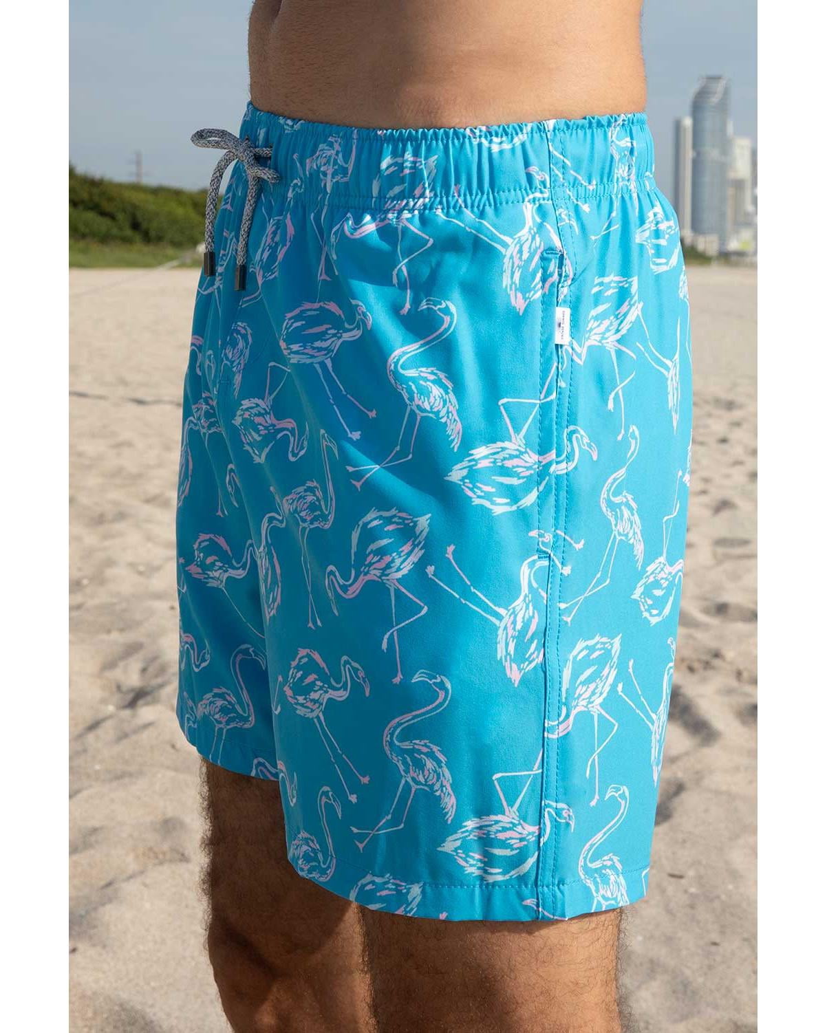 Boys Swim Shorts Dry Fast 4 Ways Stretch Swimming Trunks with Fun Designs, Flamingo Aqua, Size: 4, Endless Summer