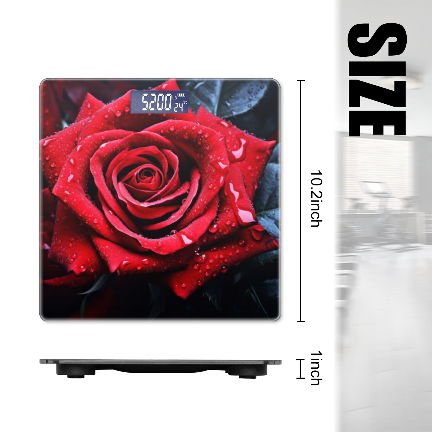 Bathroom Scale, Highly Accurate Digital Body Scale,Precisely Measures Weight up to 400 lbs-Red Rose With Water Droplets