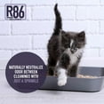 R86 Pet Odor Eliminator, Removes Odor from Litter Boxes, Carpet, and
