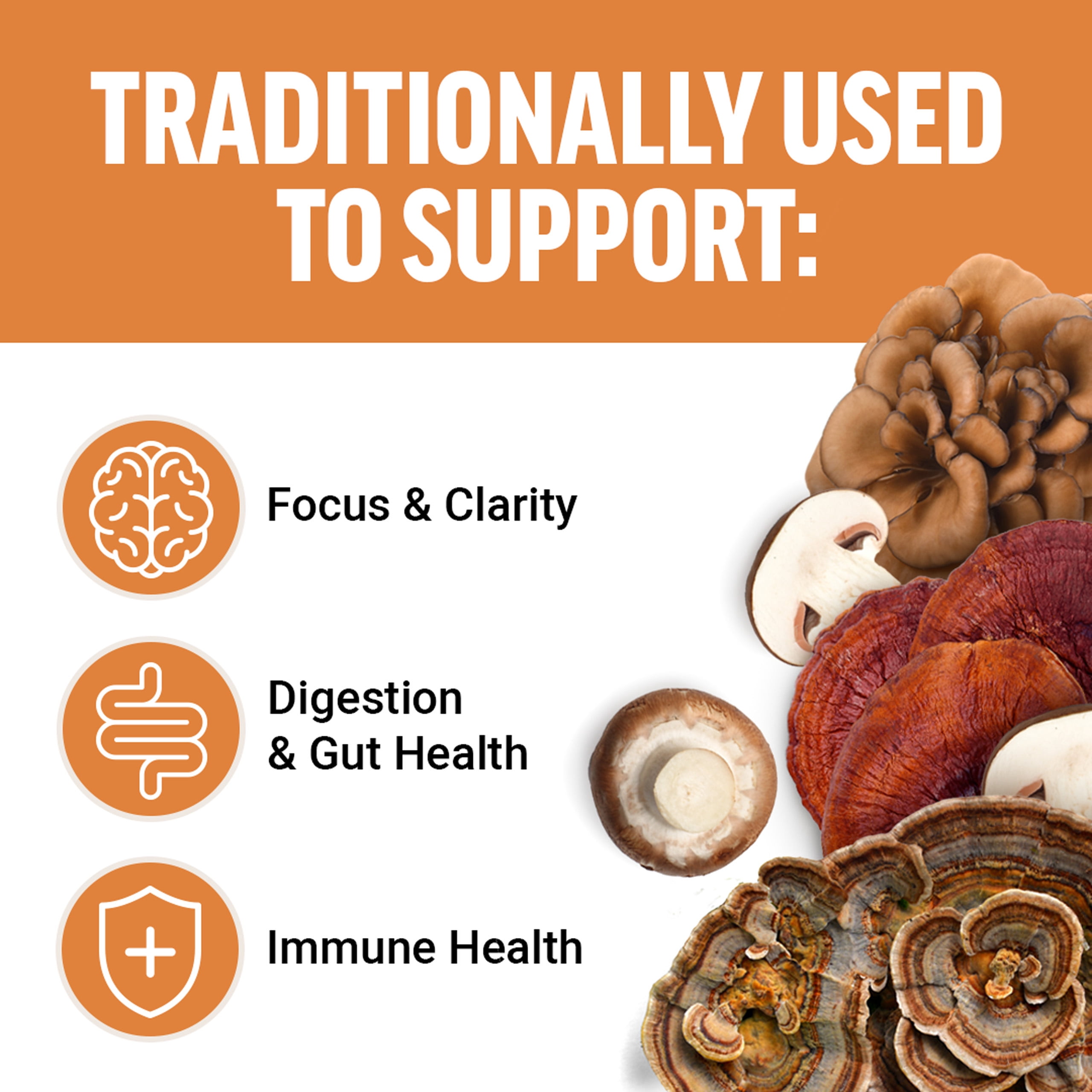 Force Factor Modern Mushrooms, Mushroom Supplement, Lion’s Mane, Cordyceps & Reishi for Energy Support, Focus, Digestion, Cinnamon Roll, 60 Soft Chews