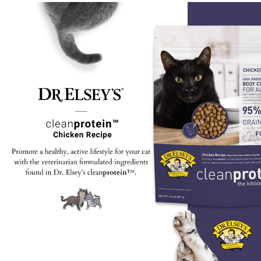 Dr. Elsey's cleanprotein Grain-Free Chicken Flavor Dry Cat Food for All Life Stages, 2 lb. Bag