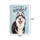 thumbnail image 2 of Placa de cartel de hojalata de Metal Vintage Wdftyju Smile Husky 20x30cm, 2 of 7