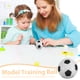 thumbnail image 4 of KAKOWELY Juego de 12 mini pelotas antiestrés de fútbol, pequeñas pelotas deportivas de poliuretano para niños, ideal como recuerdo de fiesta de fútbol, decoración o recompensa escolar o de carnaval., 4 of 4