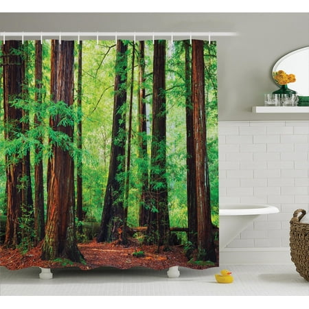 Shower Curtains Trees Nature Woodland Decor Shower Curtain Set, Redwood Trees Northwest Rain Forest Tropic Scenic Wild Nature Lush Branch, Bathroom Accessories, 69W X 70L Inches, By Ambesonne ()
