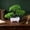 Green, variant on 10.23 x7.48 Inch Talent Star Artificial Bonsai Tree Juniper Faux Plants ,Artificial Succulent Bonsai Home Decor Green Dill Potted ,for Entryway Chests Drawers Bookcase Room Desk Decor (Pink)