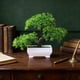 thumbnail image 1 of Decorative Potted Plants Simulation Flowers Indoor Home Furnishings Dining Table Arrangements Living Room TV Cabinet Potted Plants, 1 of 7