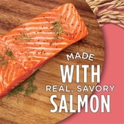 Purina Cat Chow Complete High Protein Dry Cat Food with Real Salmon, 15 lb Bag