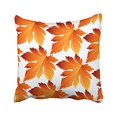 thumbnail image 1 of RYLABLUE Decorative Pillowcases Fall Autumn Leaves Throw Pillow Covers Cases Cushion Cover Case Sofa 20x20 Inches Two Side, 1 of 1