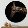 thumbnail image 2 of Designart 'Close Up Portrait of A Giraffe VIII' Farmhouse Circle Metal Wall Art 23x23 - Disc of 23, 2 of 5