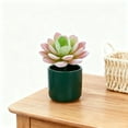 thumbnail image 1 of Lifelike Succulent In Modern Planter For Home Desk Realistic Greenery Ideal Housewarming And Event Arrangements, 1 of 4