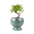 thumbnail image 1 of Maceta de cerámica, lujosa y ligera, creativa, for sala de estar, orquídea, árbol de la riqueza, maceta transpirable., 1 of 6