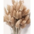 thumbnail image 1 of Natural Brown Bunny Tails, 1 of 2