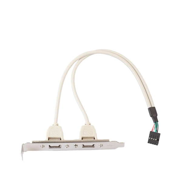 Cable Bisel 9 Pines A Doble Usb2.0 Hugtrwg Beige/gris 30cm