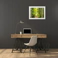 thumbnail image 3 of Gulin, Sylvia 14x12 White Modern Wood Framed Museum Art Print Titled - USA-Washington State-Sammamish with trail edged by evergreens and maple trees, 3 of 4