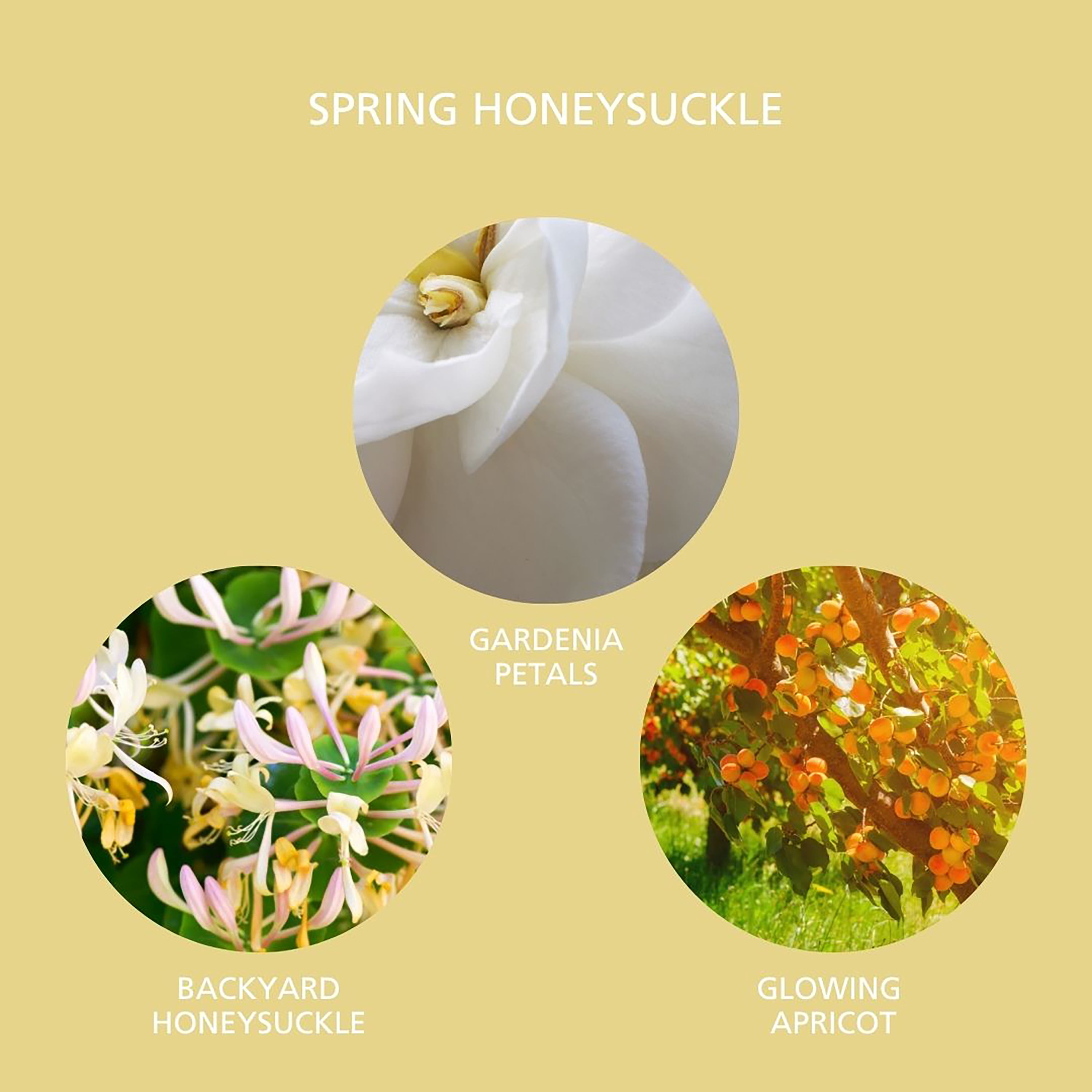 Mainstays Spring Honeysuckle Scented Room & Linen Spray 3.4 fl oz (100mL).
