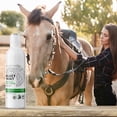 thumbnail image 6 of Nexderma Mint Antiseptic and Antifungal Hypoallergenic Medicated Mint Shampoo for Dogs & Cats, Tearless Pet Shampoo for Allergies, Dry, Itchy,& Sensitive Skin, Promotes Healthy Skin & Coat - 4oz, 6 of 9
