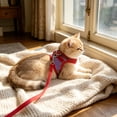 thumbnail image 4 of Btomtd Color Blocked Pet Strap And Leash Set Breathable Mesh Vests With Adjustable Straps Suitable For Small And Medium Cats And Dogs, 4 of 7