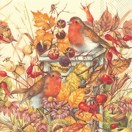 Set of 12 Luncheon Most Welcome Visitor Napkins 20 Pack
