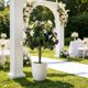 thumbnail image 4 of Orchid Ground Planting Simulation Green Home Decoration Indoor Decoration With Ground Nail Flower Arrangement, 4 of 8