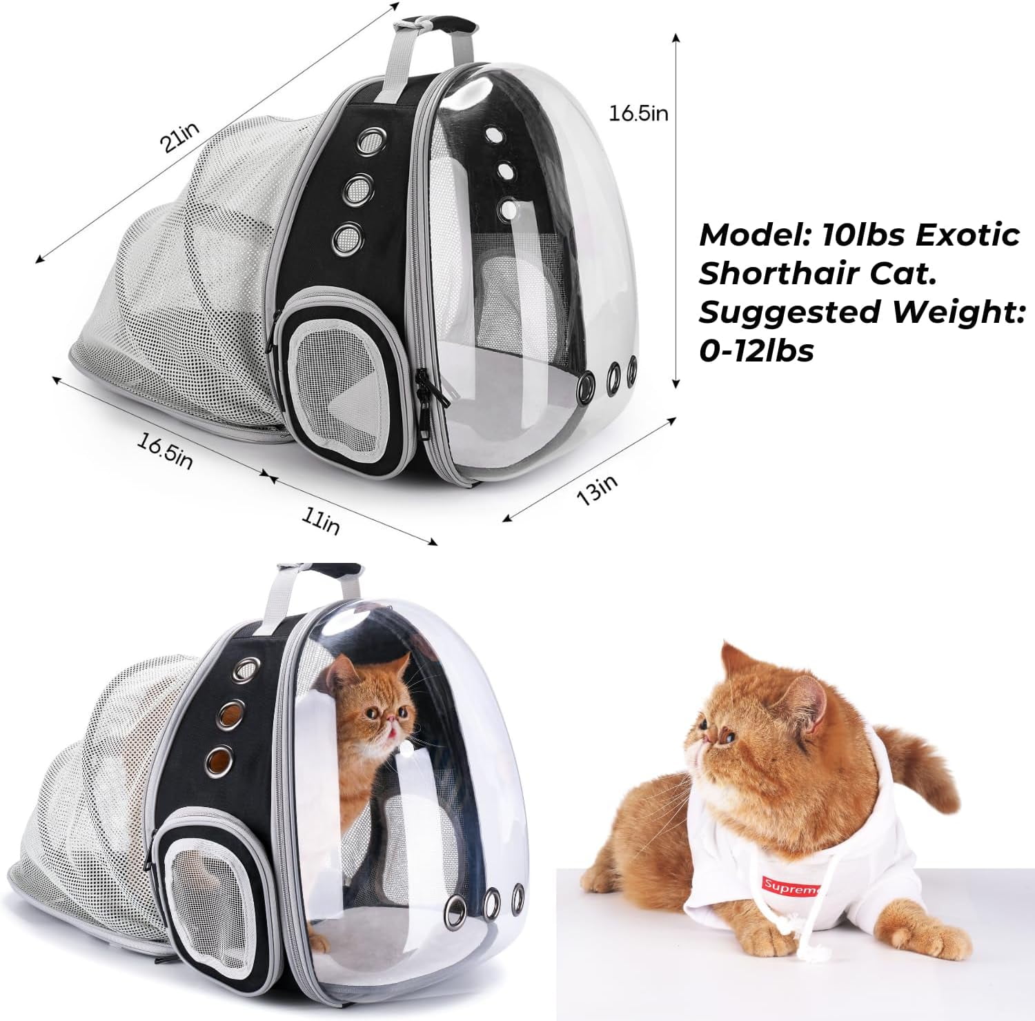 Expandable Bubble Pet Carrier for Cats and Small Dogs, Airline Approved Travel Backpack for Hiking, Walking & Outdoor Adventures – Cat Carrier Backpack