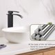 thumbnail image 3 of Grifo de baño Advancent antiobstrucciones negro Acero inoxidable, 3 of 6