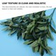 thumbnail image 3 of unbranded 2Ud Planta Artificial Rama De Verde Para Complemento Decorativo De Interiores, 3 of 7