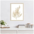 thumbnail image 3 of Amanti Art Neutral Algae II Wood Framed Wall Art Print, 3 of 7