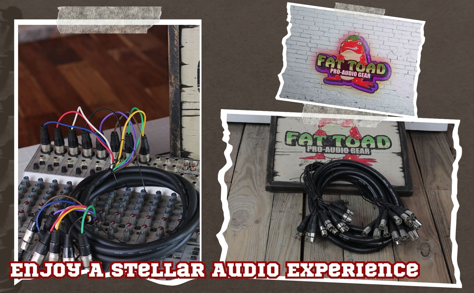 XLR Snake Cable (8 Channels) 20 FT by Fat Toad Patch Studio, Stage, Live Sound Recording Multicore Cords Pro Audio Shielded Female to Male Microphone Cables for DJ Digital Mixers or PA Amplifiers