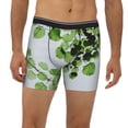 thumbnail image 4 of Rocae Watercolor Green Leaves for Stretch Moisture-Wicking Underwear,Men's Underwear Boxer Briefs Small, 4 of 9