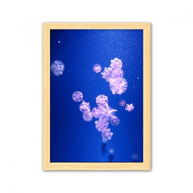 Ocean medusas ciencia naturaleza foto Cuadro de madera decorativa marco de casa A4