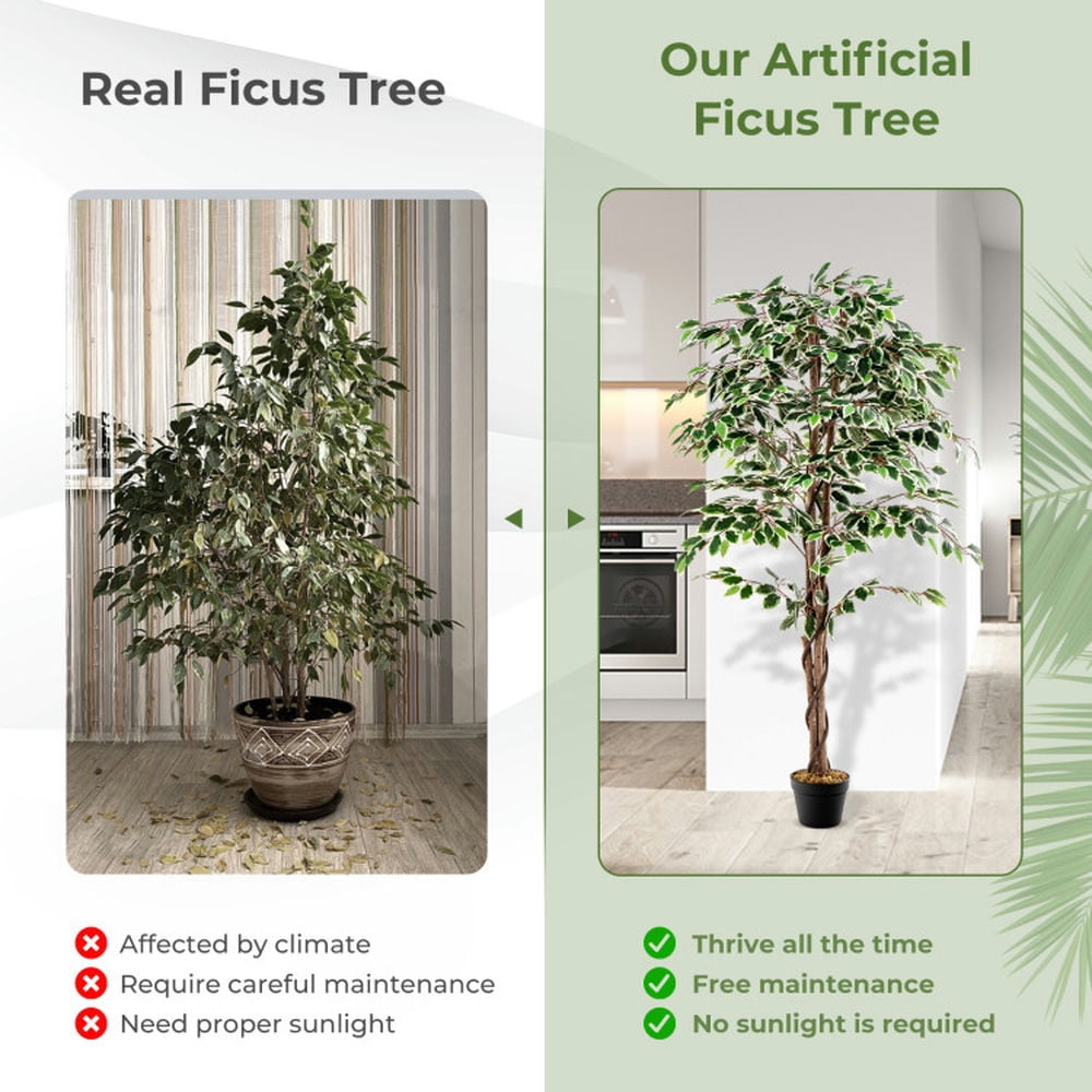 Spaco 65 inch Tall Faux Indoor Plant with 1008 Leaves Nursery Pot and Dried Moss, Artificial Ficus Tree, Faux Ficus Tree for Indoor as Living Room, Office, Green