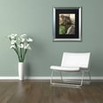 thumbnail image 3 of Trademark Fine Art "Cabela III" Canvas Art by Color Bakery Black Matte, Silver Frame, 3 of 4