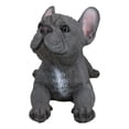 thumbnail image 6 of Realistic Lifelike Gray French Bulldog Puppy Sitting On Belly Figurine Frenchie, 6 of 9