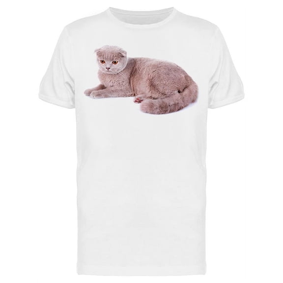 Cute Cat With Lost Look T-Shirt Men -Image by Shutterstock Men T-Shirt, Male 3X-Large