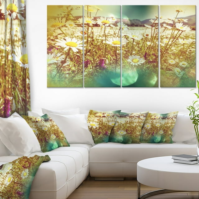 Beautiful Blossom Chamomile Flowers - Floral Canvas Art Print