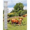 thumbnail image 1 of Clôture pour Bovins en Acier Galvanisé Robuste 5 Pi x 328 Pi à Maillons de Chaîne, Conception Résistante à la Rouille, Polyvalente, Fil de Ferme et de Cour, Clôture Roulée pour Bétail, Chèvres, Moutons, Porcs et Cerfs, 1 of 8