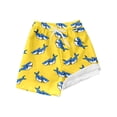 thumbnail image 1 of JTieacloth Boys Swim Trunks With Compression Liner Toddler Bathing,Sizes 5-6 Years, 1 of 5