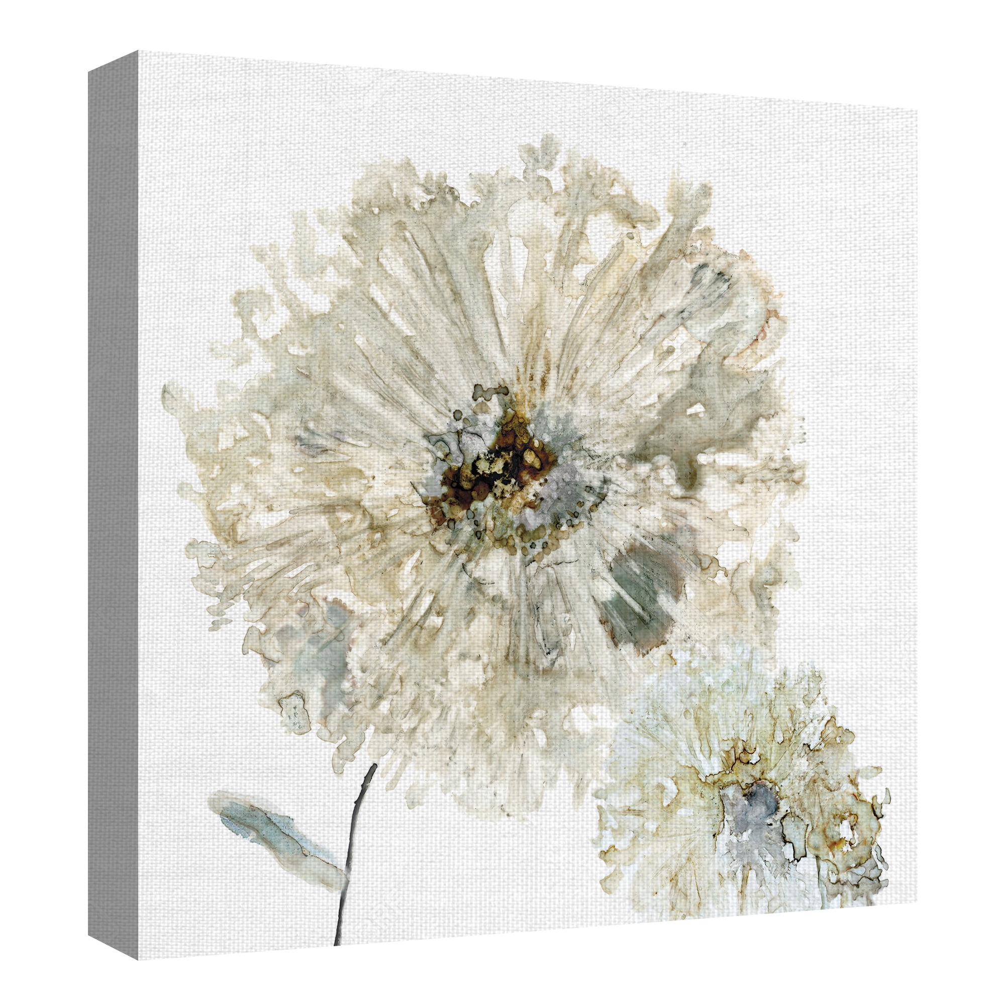 Masterpiece Art Gallery Ivory Spring II Flower by Carol Robinson Canvas Art Print 30" x 30"