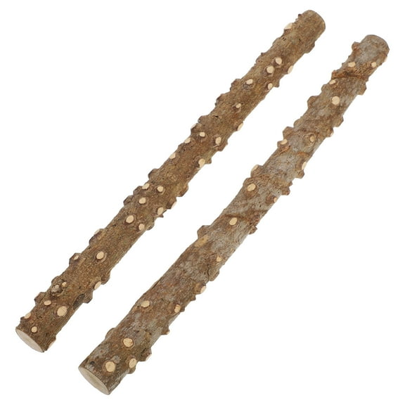 Raindrops 2-Pack Reptile Corner Climbing Sticks with Cups for Lizards, Snakes, Bearded Dragons - Terrarium Habitat and Tank Decoration