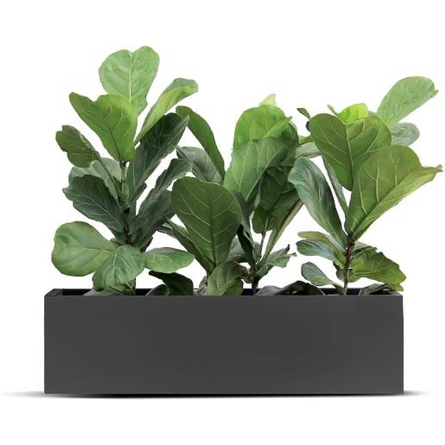 Genérico Maceta Fibra de Vidrio Jardinera para Interior y Exterior (120 Largo x 40 Ancho x 40 Alto cm, Gris) BWKJ Cocina, Decoración y Otros