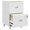 White, variant on HOMCOM Lockable 2 Drawer File Cabinet with Hanging Bars for A4 and Letter