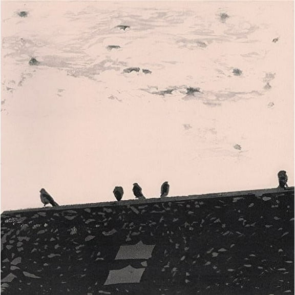 Stuart Staples a. - Arrhythmia - Music & Performance - CD