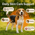 thumbnail image 3 of PUAINTA Hot Spot and Itch Relief Spray for Dogs and Cats, Quantum Silver Skin Care, 4 oz, 3 of 9