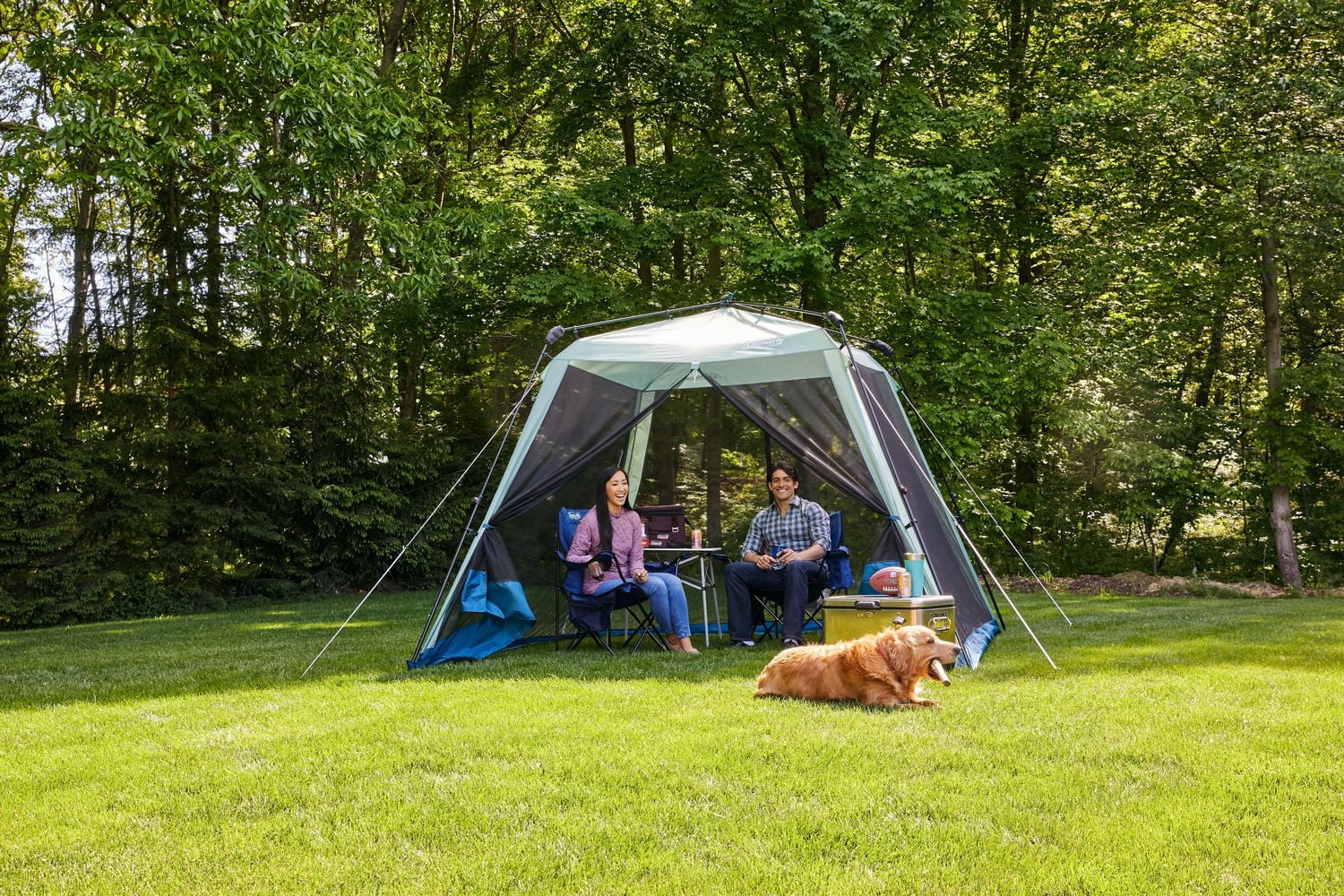 Coleman Skylodge Instant Screen Canopy Tent, 10 X 10 ft (3 x 3 m)